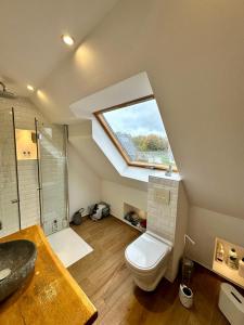 a bathroom with a toilet and a shower with a window at Lütthus Matthis in Zingst
