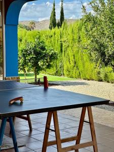 a ping pong table with a view of a garden at Villa MS in Alicante
