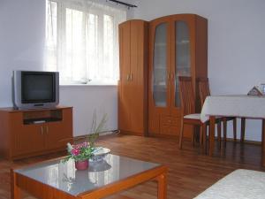 Televízia a/alebo spoločenská miestnosť v ubytovaní Raday Central Apartment