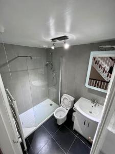 ein Bad mit einer Dusche, einem WC und einem Waschbecken in der Unterkunft 5 Shore Street in Donaghadee