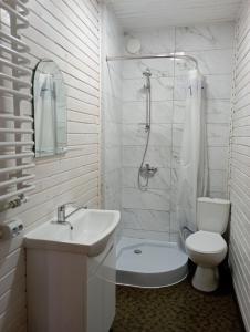 ein Bad mit einem Waschbecken, einem WC und einer Dusche in der Unterkunft Садиба ''Файна Гоффа'' in Werchowyna