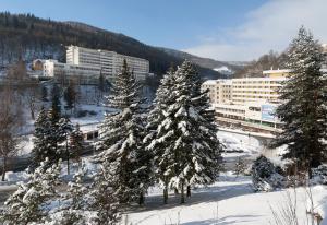 Kış mevsiminde Hotel Lužice