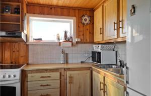 a kitchen with wooden cabinets and a sink and a window at 2 Bedroom Stunning Home In Rennesy in Hanasand