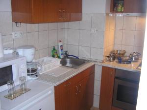 Kuchyňa alebo kuchynka v ubytovaní Raday Central Apartment