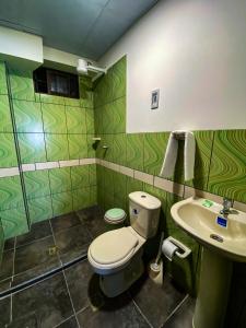 La salle de bains verte est pourvue de toilettes et d'un lavabo. dans l'établissement Posada Mia Copacabana, à Copacabana