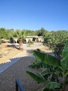 uma praia com tenda e algumas plantas e árvores em Quinta Pereiro Tropic Garden, Algarve em Moncarapacho