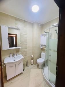 a bathroom with a toilet and a sink and a shower at Carolina in Alba Iulia +42 photos