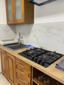 Kuhinja oz. manjša kuhinja v nastanitvi Guest house Shulc
