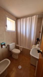 ein Bad mit einem WC, einem Waschbecken und einer Dusche in der Unterkunft Apartamento Monver I Benidorm in Benidorm