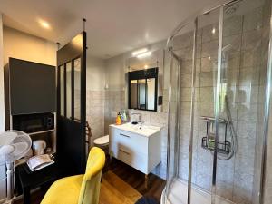 a bathroom with a shower and a sink at Chambre chez Alain et Armelle in Avoine