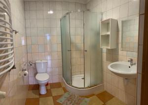 Koupelna v ubytování Apartamenty Jakob