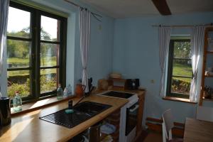 a kitchen with two windows and a sink and a counter at Alte Ausspanne FEWO in Walkendorf