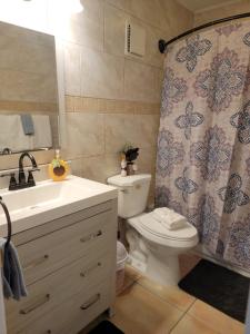 a bathroom with a toilet and a sink and a shower curtain at Pily's Vintage Stay Room Full Bed in Orlando