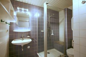 een badkamer met een wastafel, een douche en een toilet bij Residence de L'Europe - Baddomburg in Domburg