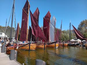 un grupo de barcos con velas rojas en el agua en Fewo Muschel incl Kurkarte Parkplatz und strandnah en Ahrenshoop