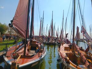 un grupo de barcos atracados en un puerto en Fewo Muschel incl Kurkarte Parkplatz und strandnah en Ahrenshoop