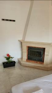 a living room with a fireplace in a room at Happyhouse in Algueirão