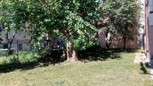 Κήπος έξω από το Apartment ENJOY BG