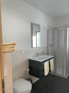 ein Bad mit einem Waschbecken, einem WC und einer Dusche in der Unterkunft Pension RoBi in Harthofen