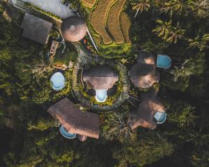 widok na park z budynkami i drzewami w obiekcie Jungleight Bali w mieście Tegalalang