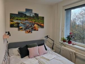 Postel nebo postele na pokoji v ubytování Apartmány Pěkná 10
