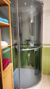 a glass shower in a bathroom with a sink at Andy's Apartman in Budapest