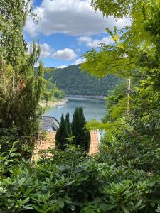 a view of a lake through the trees at Noah - Seeleben auf Zeit am Rursee in Simmerath