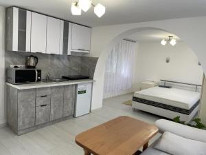 a kitchen and living room with a bed and a table at House Menchul in Mala Uhol'ka