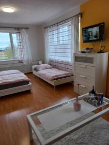 布拉格的住宿－Paradise villa apartment，一间卧室配有两张床、一个梳妆台和电视。