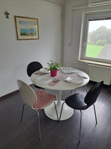 ein weißer Tisch und Stühle mit einer Pflanze drauf in der Unterkunft Apartments Bukor in Lukovica pri Domžalah