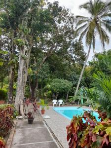 a resort with a swimming pool and palm trees at Casa Montpellier in Honda