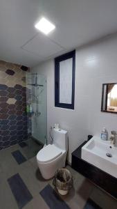 a bathroom with a toilet and a shower and a sink at Viva City Magamall Jazz 1 53 in Kuching
