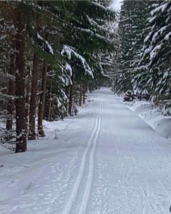 Harrachov 702 v zimě