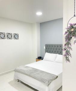 Un dormitorio blanco con una cama blanca y una planta en Sabaneta Central Nómadas digitales Wi-Fi 202, en Sabaneta