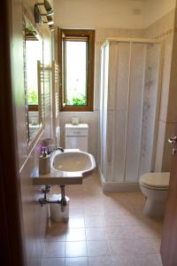 a bathroom with a sink and a shower and a toilet at Poggio Degli Olivi in Saturnia