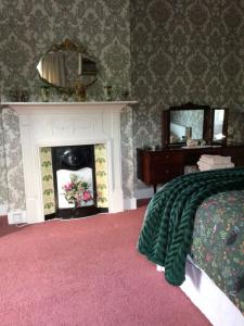 a bedroom with a fireplace and a bed and a mirror at Tullyard House 