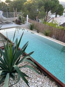 una piscina en un patio con una planta en L'ARMONIA entre la Farella i Cau del LLOP en Llança