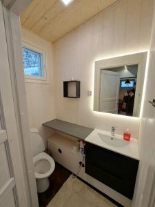a bathroom with a toilet and a sink and a mirror at Tapio in Syöte