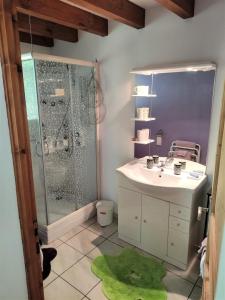 uma casa de banho com lavatório e chuveiro com tapete verde em Gambade em Sainte-Eulalie-en-Born