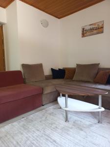 - un salon avec un canapé et une table basse dans l'établissement Apartmani Nina Košuta, à Jahorina