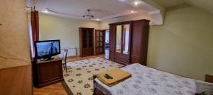 una camera con un letto e una TV di VILLA VERA a Berehove