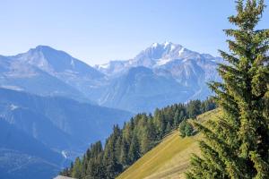 a view of a mountain range with a tree at Chalet Collini in Riederalp