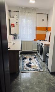 a kitchen with a stove and a washer and dryer at Luana & Priam home in Petrila