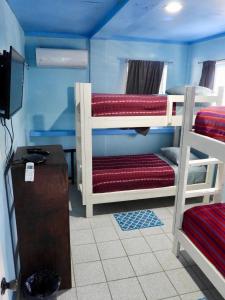 Ein Etagenbett oder Etagenbetten in einem Zimmer der Unterkunft Sandbar Beachfront Hostel & Restaurant