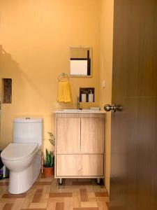 La salle de bains est pourvue de toilettes, d'un lavabo et d'un miroir. dans l'établissement Lola's Loft, à Grecia