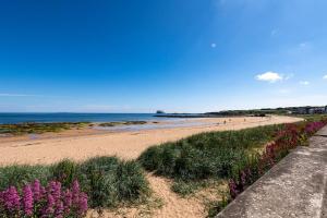 a sandy beach with purple flowers and the ocean at Station Cottage in North Berwick
