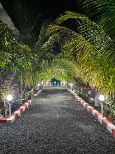a pathway lined with palm trees at night at Madhav Farmhouse in Sasan Gir