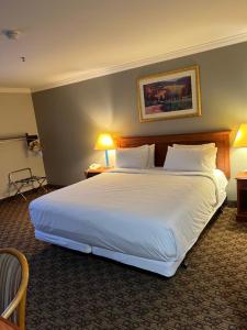 1 cama grande en una habitación de hotel con 2 lámparas en Hotel Xola, en Moreno Valley