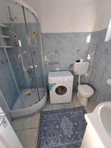 a bathroom with a shower toilet and a washing machine at Comaniciu Sorin in Făgăraş