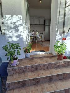 a porch with potted plants on the front of a house at Comaniciu Sorin in Făgăraş